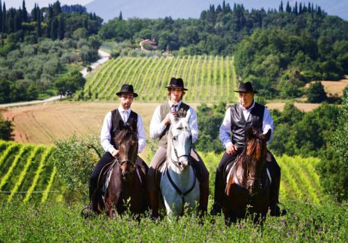Escursioni a cavallo