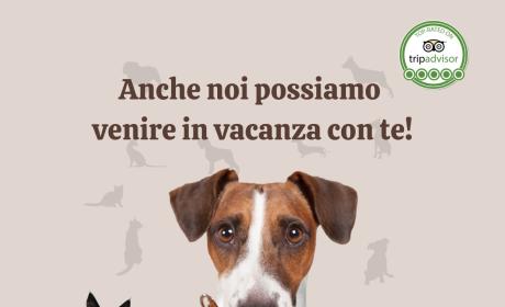 poggiodellerose en pet-friendly-holiday-in-tuscany 013